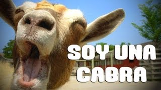 SOY UNA CABRA!! - Goat Simulator