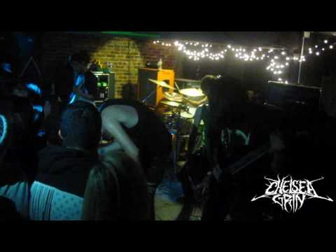 Lifeless by Chelsea Grin Live HD ASkydenSurvive 11337 views