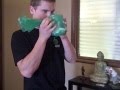 Buck urine test Buck urine test