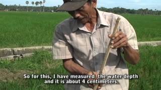 Farmers tell their stories: A water-saving tool in the rice field (Alat menghemat air di sawah) view on youtube.com tube online. Farmers tell their stories: A water-saving tool in the rice field (Alat menghemat air di sawah) view on youtube.com tube online.