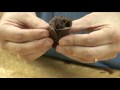 Pastry Decorating : How to Make Chocolate Cake Decorations