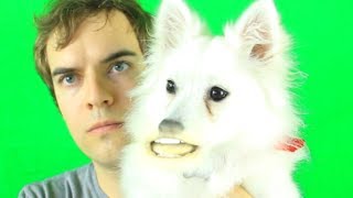 JACKASK #19