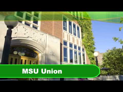 Michigan State University Others(1)