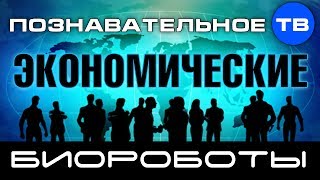 Экономические биороботы (Познавательное ТВ, Валентин Катасонов)