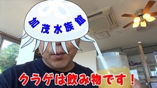 クラゲは飲み物です！加茂水族館でクラゲを飲もう！