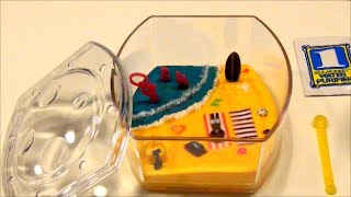 ｱﾒｲｼﾞﾝｸﾞﾗｲﾌﾞシーモンキー　Sea MonKeys