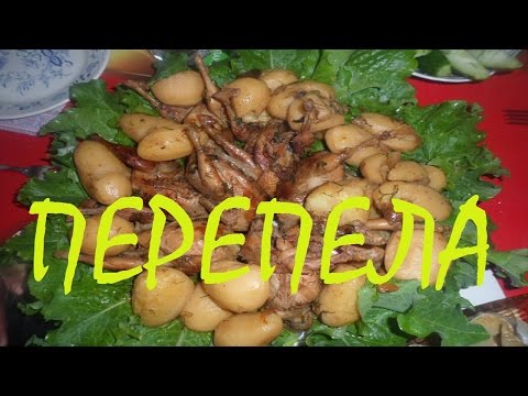 Перепела в казане рецепты