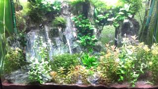 waterfalls in aquarium