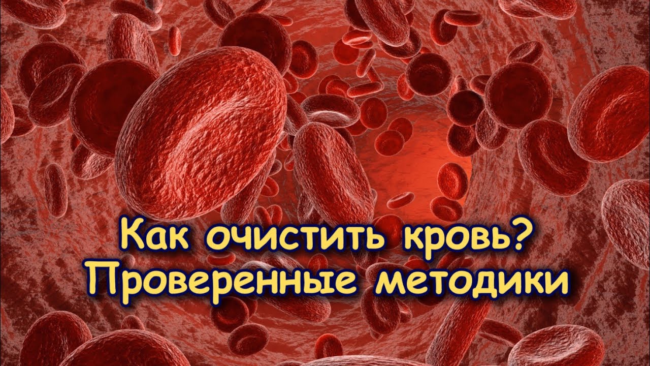 Как при домашних условиях почистить кровь 374