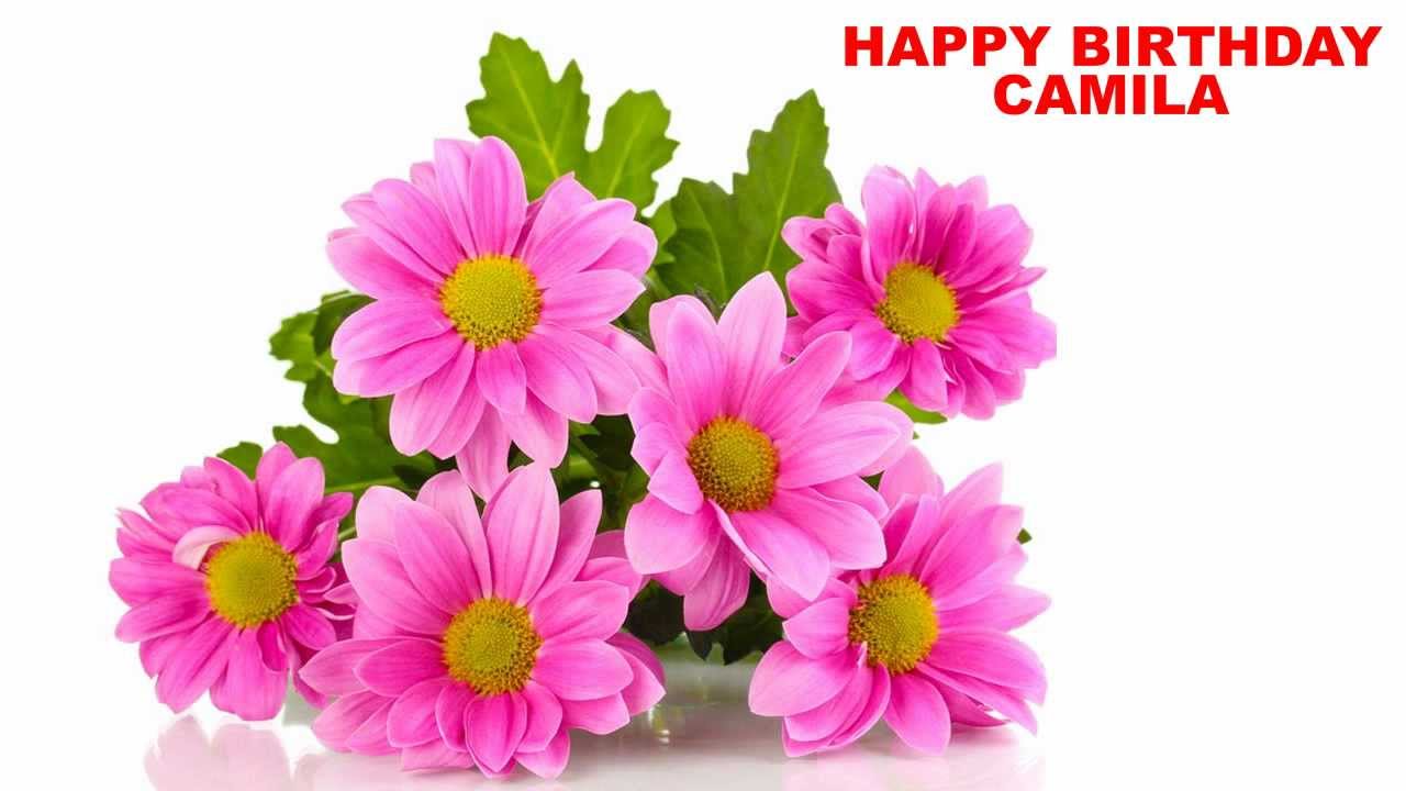 camila flowers happy birthday youtube camila flowers happy birthday youtube