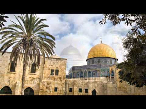 القرآن الكريم : سورة فصّلت Quran Translation -Ghamdi: Fussilat : 41