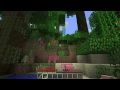 What is...? Minecraft, part 2