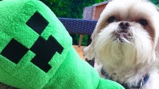 DON'T HUMP THE CREEPER, GRYPHON!! (Minecraft Instagram Video)