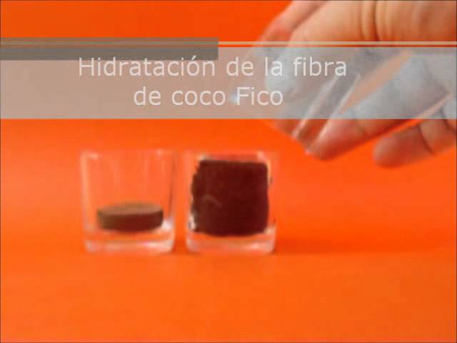 Edición y Creación de Video Clips sddefault Edición y Creación de Video Clips
