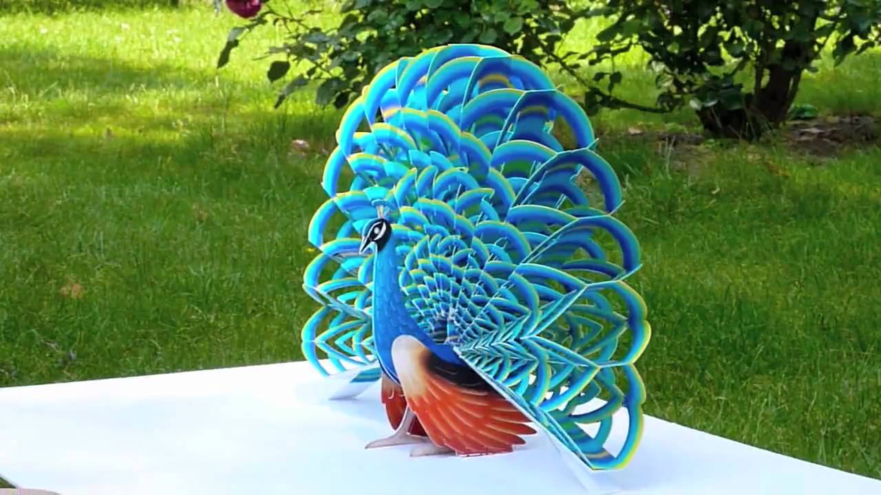 Paper Pop-Up Peacock - YouTube