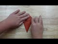 2 - Origami Turkey