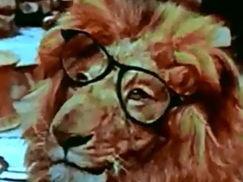 Clarence, The Cross-Eyed Lion [1965]