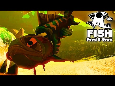 feed and grow fish crab madness