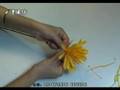 Paper Flower Making Kit - Example - Youtube
