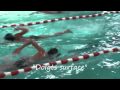 Natation pour tous : les éducatifs en crawl - 2
