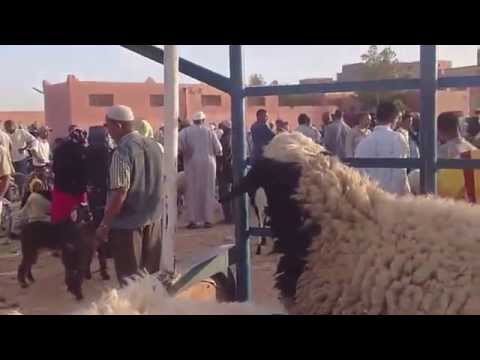 عيد الأضحى يوم الاثنين 10 ذي الحجة 1432 + فيديو