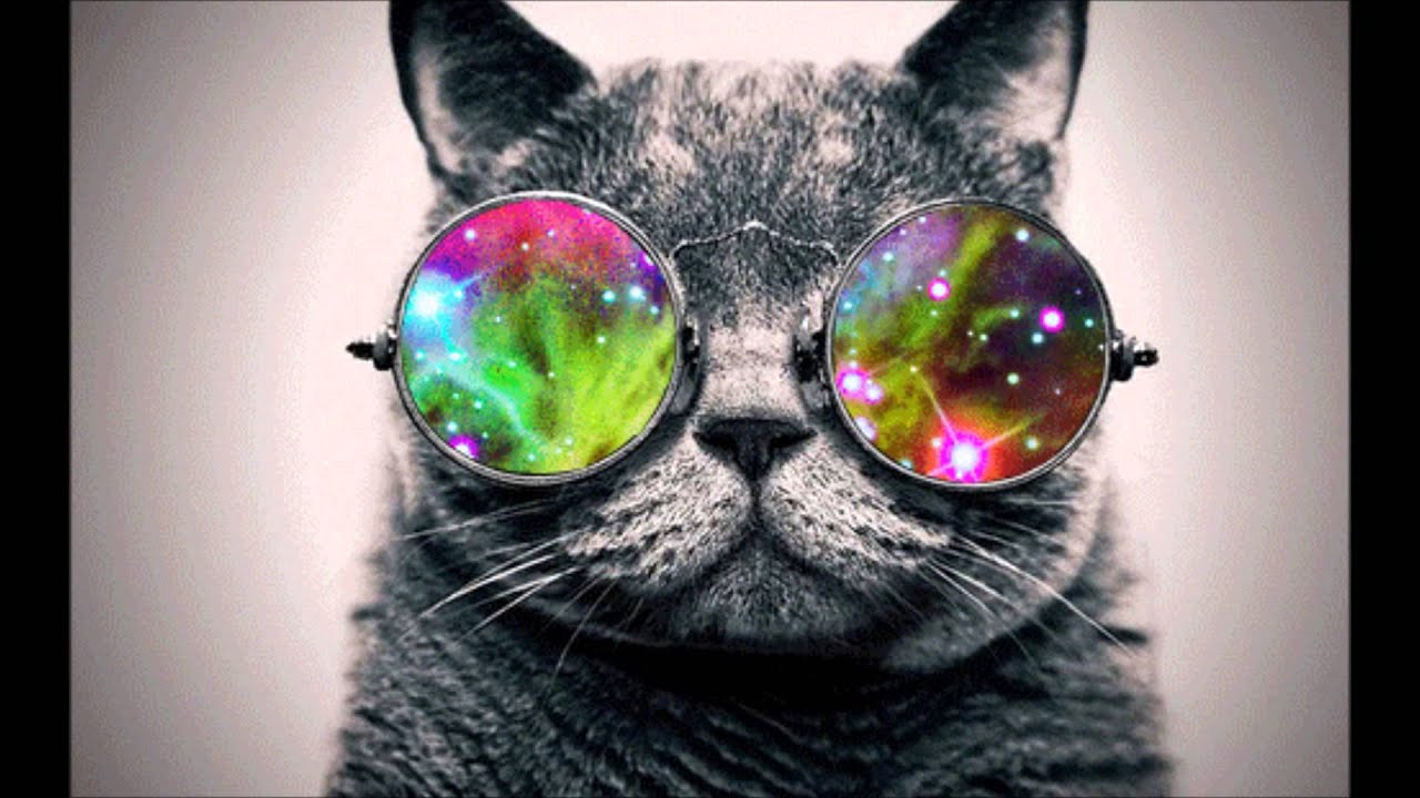 Space Cat with Hipster Glasses