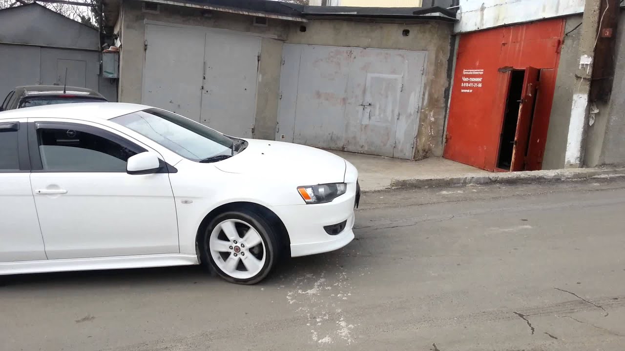 Эустома фото и выращивание с корня 59