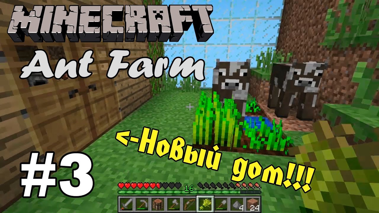 ... НОВЫЙ ДОМ! - Minecraft Ant Farm и Визер #3 - YouTube