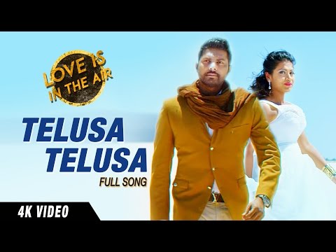 Download Telusa Telusa Full Video 4K UHD Song || Gopi Kakivai, Akhilla Kakivai || Sarrainodu