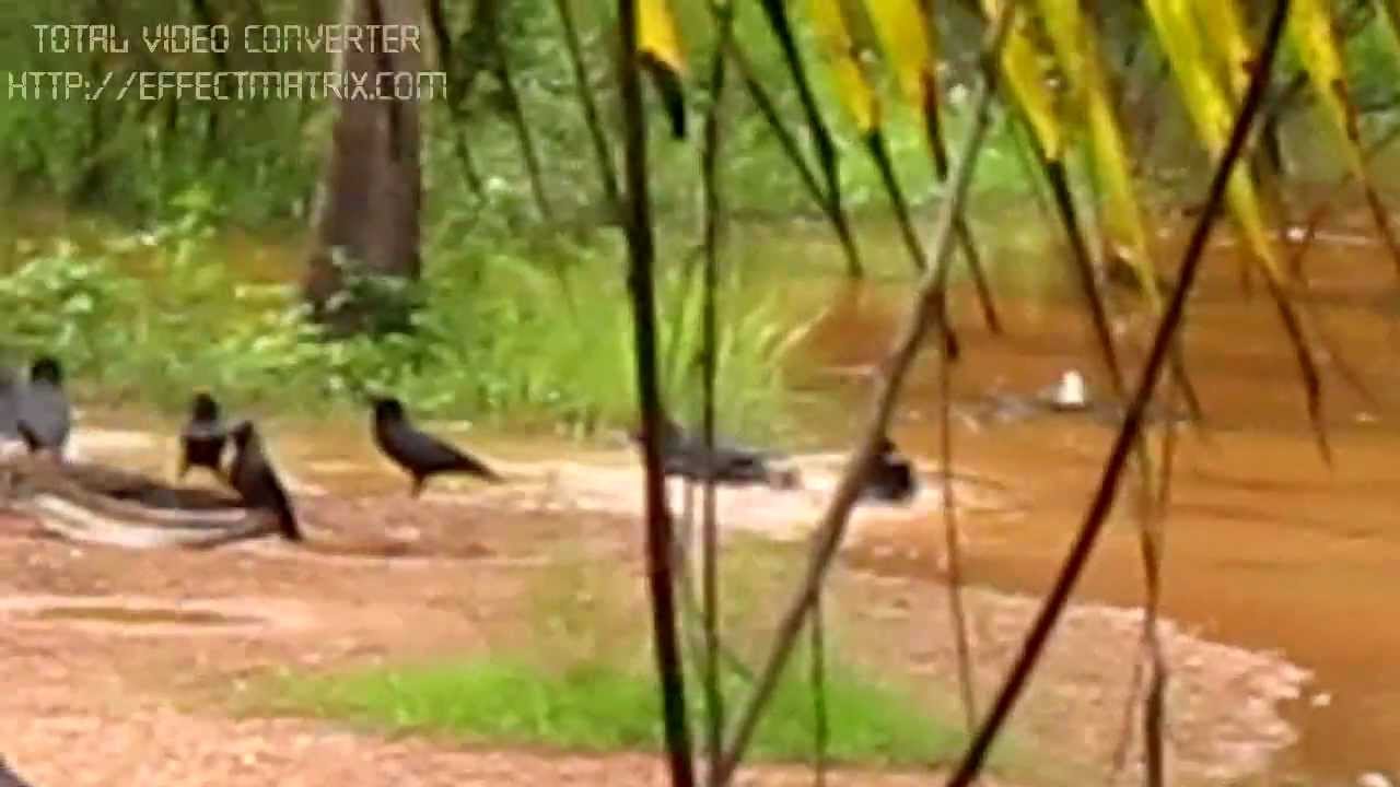 Mallu Hot Bath