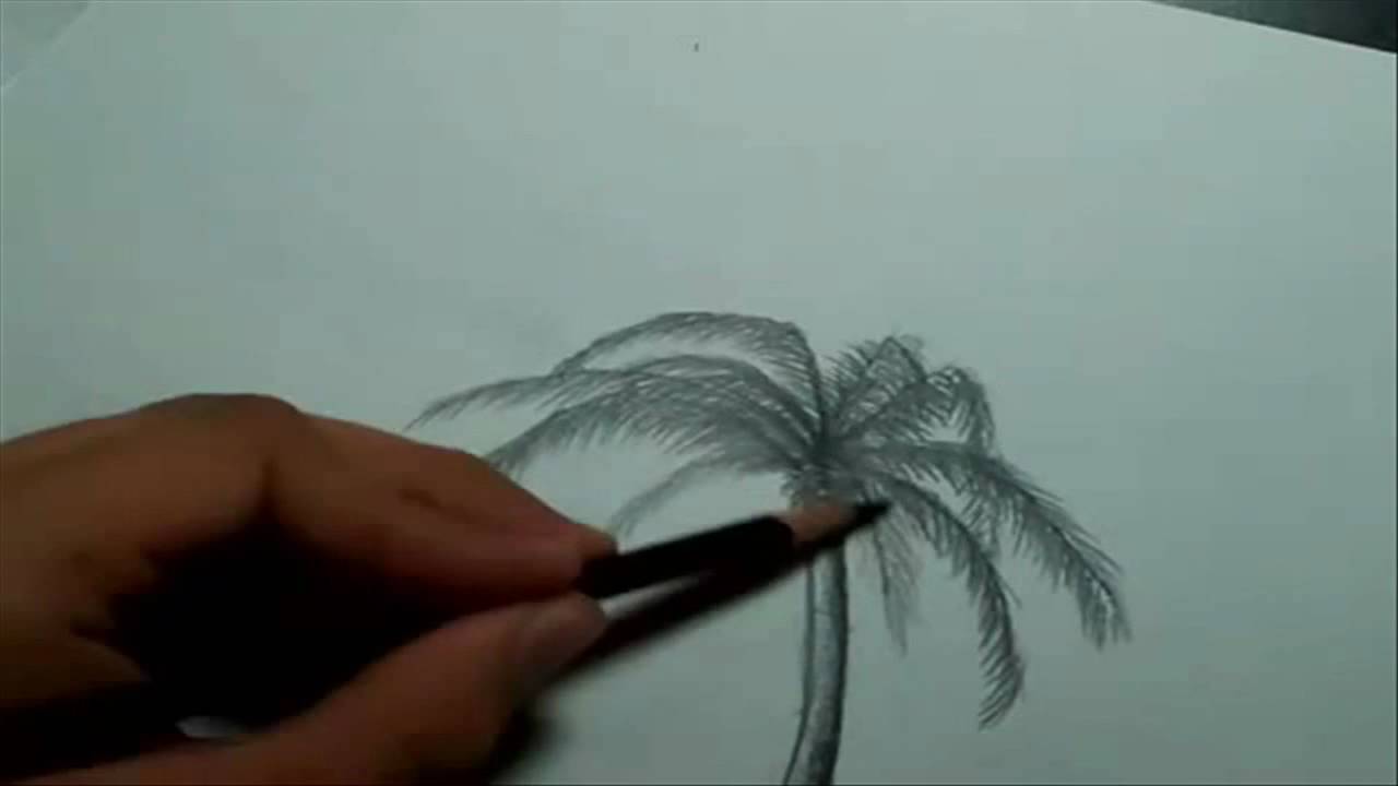 Beach Landscape - How To Draw A Palm Tree - YouTube