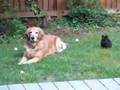 Why won't you play with me? Why won't you play with me?