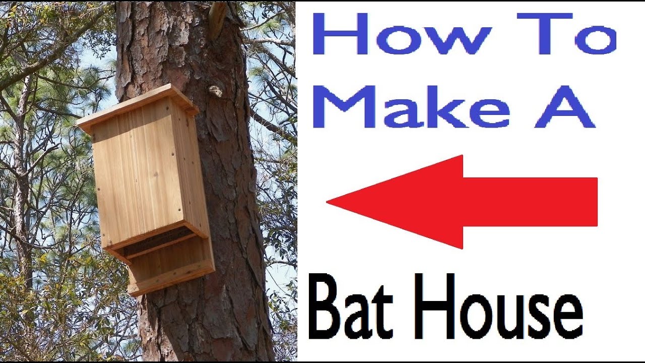 How To Build A Bat House - YouTube