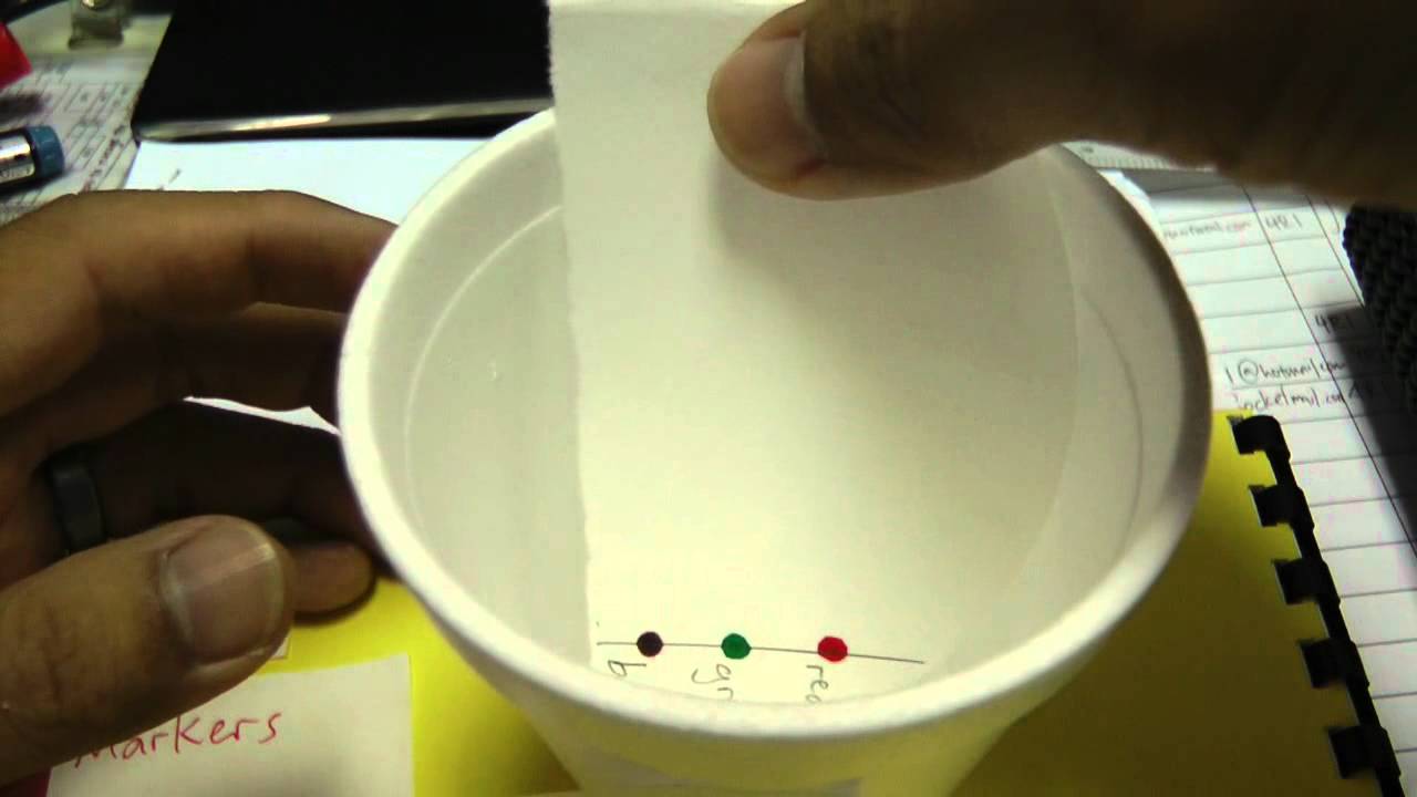 Simple paper chromatography - YouTube