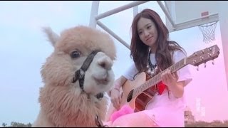 全民寶貝Kimberley陳芳語《分手說愛你》 Official MV (HD)