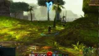 Guild Wars 2 Fps Issue Nvidia