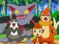Ash's Turtwig Evolves