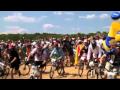 Les Crapauds 2010