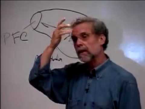 Emotional Intelligence or Behaviorial Control? (part 2)