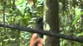 Rare footage of an isolated indian tribe in the Amazon