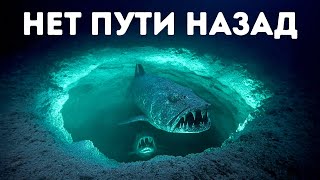 Мистические ловушки, найденные на дне Красного моря