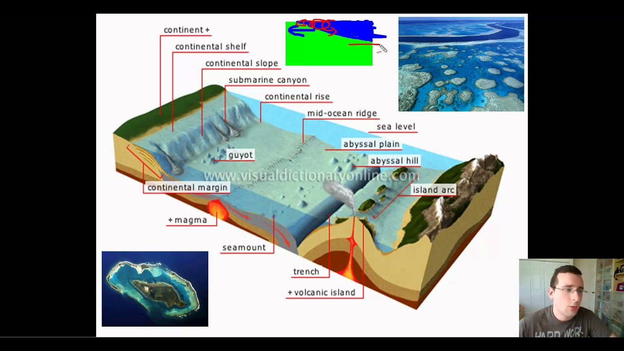Ocean+Floor+School+Projects+Models Ocean Basins (Part 1): Features of the Ocean Floor (Continental Margin ...