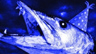 GIANT BARRACUDA (The Hidden)