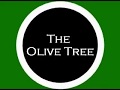 Understanding Globalization (Lexus and Olive Tree)