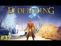 Elden Ring Прохождение - Стрим #37