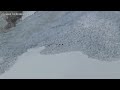 Chamois avalanche - Roc de la Pêche