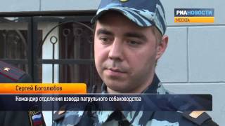 Полицейские о том, как поймали сбежавшего из «Матросской тишины» Топалова