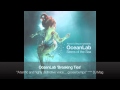 Above & Beyond pres. OceanLab - Breaking Ties - YouTube