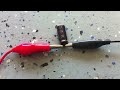 Fun with a few 9V batteries. (244 of them)