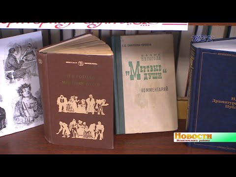Николаю Гоголю посвятили «Библионочь» в Искитимском районе